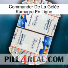 Commander De La Gelée Kamagra En Ligne kamagra1